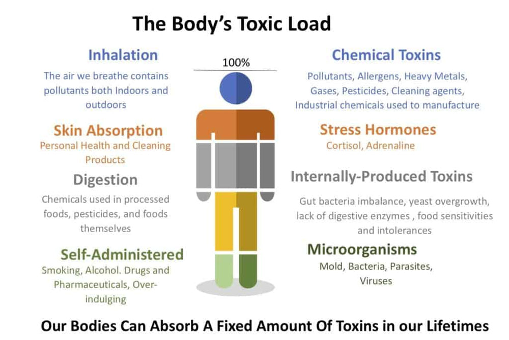 Toxic load or Total Body Load Explained...