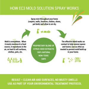 EC3 Mould Solution Spray